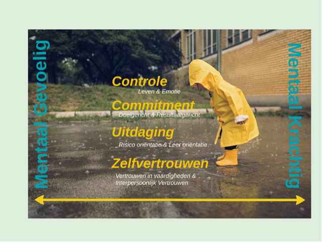 Toxopeuscoaching.nl-wat-is-mentale-kracht